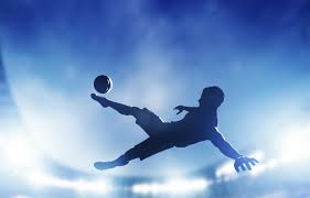 必一·体育(B-Sports) 乒乓球台的产品类型是什么